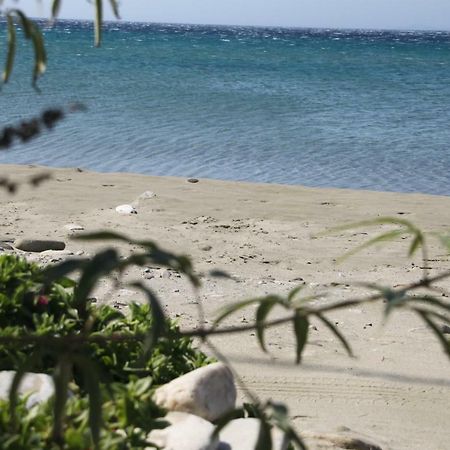 "Sea Front" Rose'S House Villa Kardianí Kültér fotó