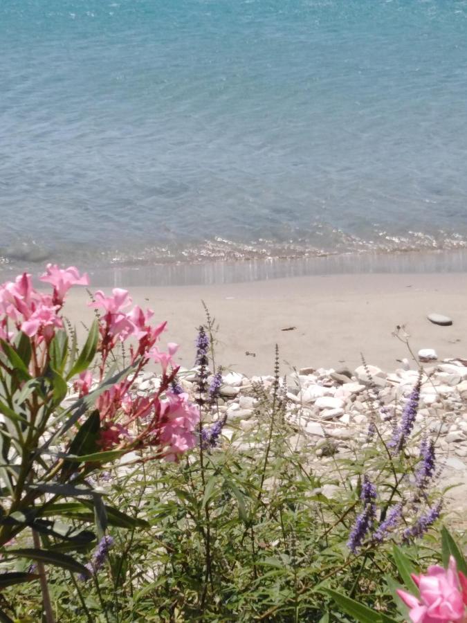 "Sea Front" Rose'S House Villa Kardianí Kültér fotó