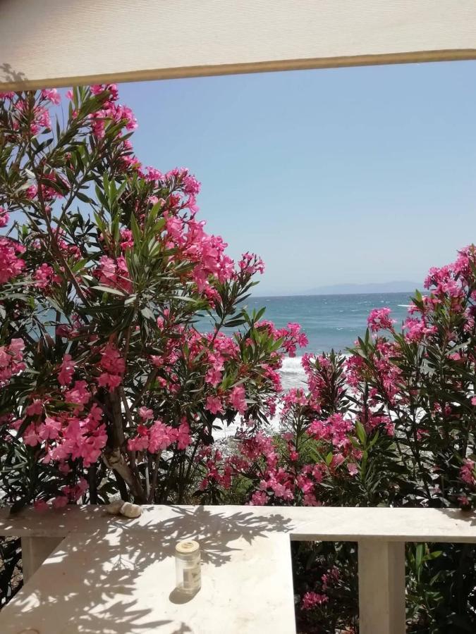 "Sea Front" Rose'S House Villa Kardianí Kültér fotó