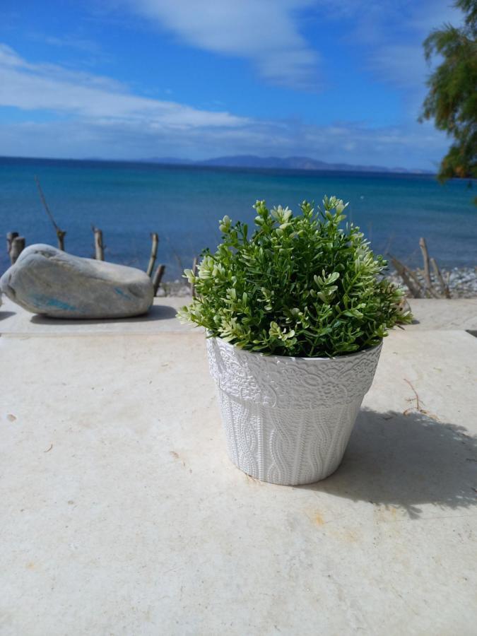 "Sea Front" Rose'S House Villa Kardianí Kültér fotó