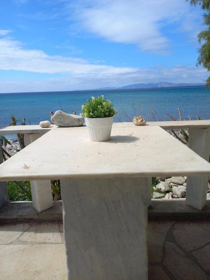 "Sea Front" Rose'S House Villa Kardianí Kültér fotó