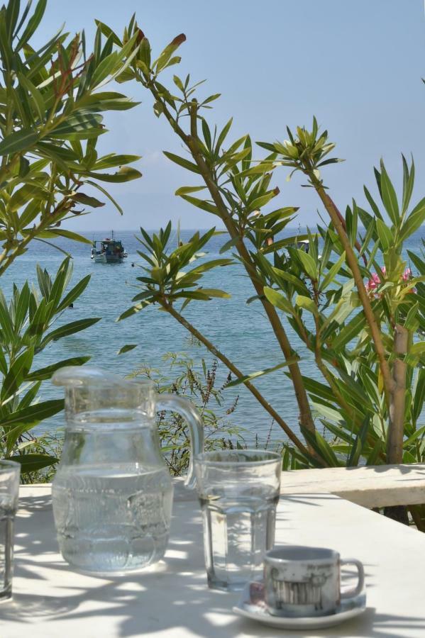 "Sea Front" Rose'S House Villa Kardianí Kültér fotó